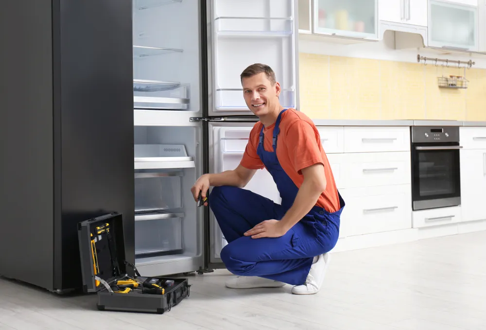 Bayraklı Electrolux buzdolabı servisi teknisyen